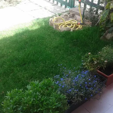La Rosa Nyaraló