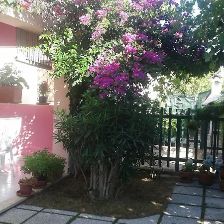 La Rosa Villasimius